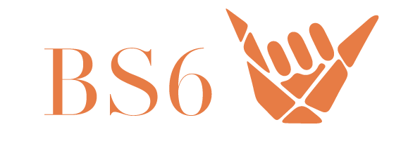 BS6